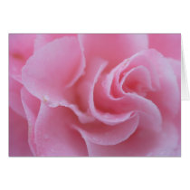 Camellia Card
