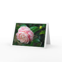 "Camellia" Greeting Card