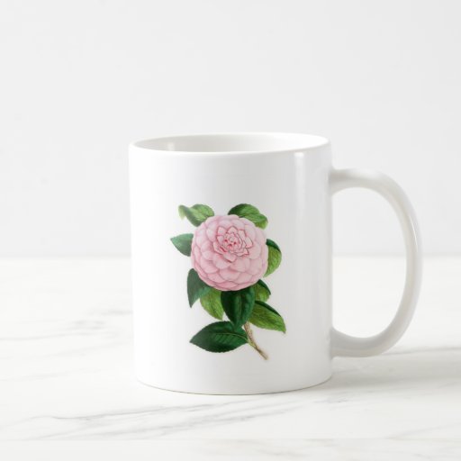 Camellia, Duchesse De Nassau Mug