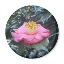 Camellia Fridge Magnet