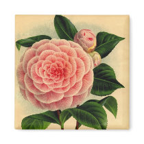 camellia refrigerator magnets