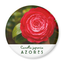 Camellia Magnets
