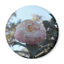 Camellia Fridge Magnet