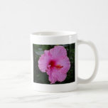 camellia mugs