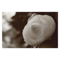 Camellia Customized Stationery