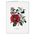 Camellias Card