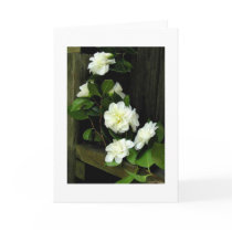 CAMELLIAS CARD