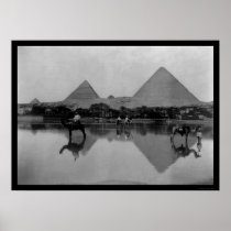 Camels and Pyramids in Egypt 1899 Posters