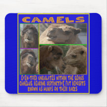 CAMELS - even-toed ungulates Mousepads