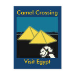 camelscrossing, Camel Crossing, Visit Egypt Postcards
