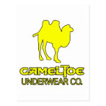 Cameltoe Underwear Company Spoof Camel Toe Vagina Post Cards