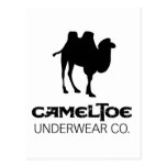 Cameltoe Underwear Company Spoof Camel Toe Vagina Postcard