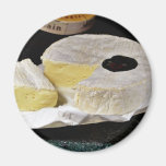 Camembert Cheese Refrigerator Magnets