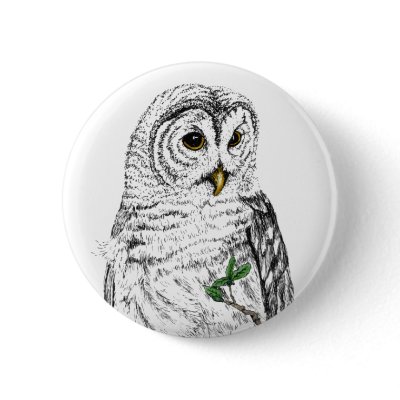 Cameo Owl Button by natures_edge