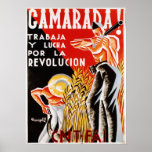 Camerada! cartel [Comrades poster] posters