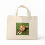 Cameron 1 11x11 bags