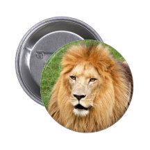 Cameron 2_9x9 pinback button