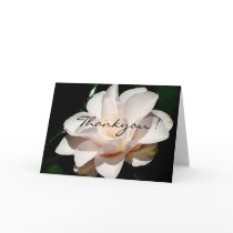Camillia Flower Thankyou Card