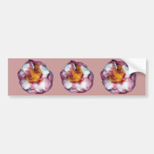 Camillia Pink Bumper Stickers