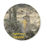 Camino de Santiago Refrigerator Magnet