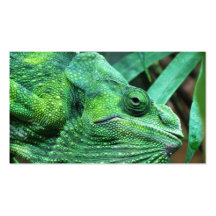 CAMO LIZARD BUSINESS CARD