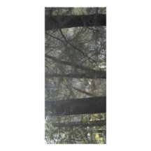 camoflaque trees rack cards