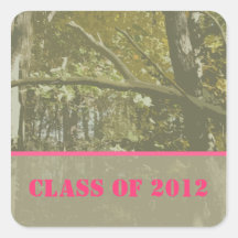 Camouflage Graduation Class of 2012 Sticker