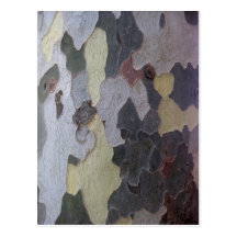 Camouflage Platane Postkarten