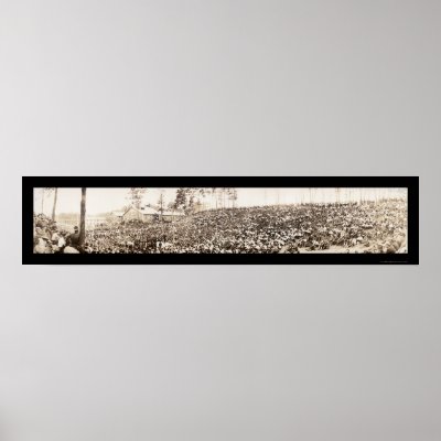   Camp Devens MA Photo 1918 Print by lc_panoramicphotos