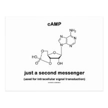 cAMP {Molecule} Just A Second Messenger Postcards