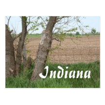 Campagne de l'Indiana Cartes Postales