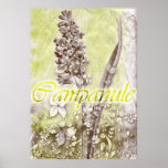 campanule poster