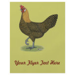 Campine:  Golden Hen Full Color Flyer