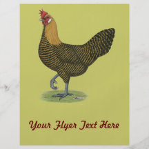 Campine:  Golden Hen Full Color Flyer