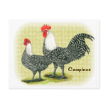 Campine:  Silver Postcards