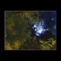 Camping Under The Stars Postcard postcards