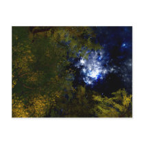 Camping Under The Stars Postcard