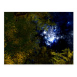 Camping Under The Stars Postcard