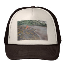 campingand more 025 hats