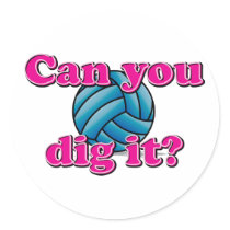 Can you dig it? Volleyball! Stickers