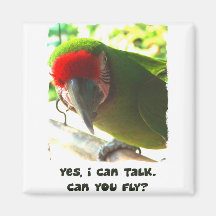 Can You Fly Military Macaw Magnet