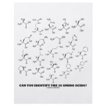 Can You Identify The 20 Amino Acids? (Chemistry)