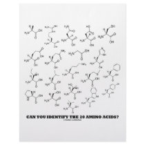 Can You Identify The 20 Amino Acids? (Chemistry)