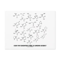 Can You Identify The 20 Amino Acids? (Chemistry)