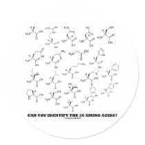 Can You Identify The 20 Amino Acids? (Chemistry)