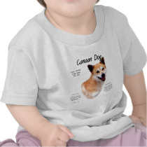 Canaan Dog History Design