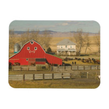 Canada, Alberta, Pincher Creek: Red Barn & Ranch Rectangular Magnets