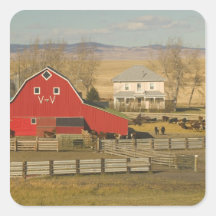 Canada, Alberta, Pincher Creek: Red Barn & Ranch Square Sticker