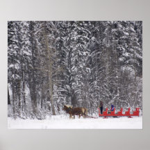Canada, Banff. Sleigh rides at Martin Stables. Poster