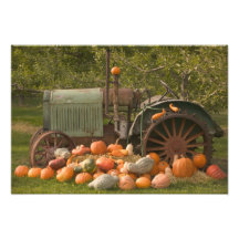 CANADA, British Columbia, Keremeos. Autumn / 2 Photo